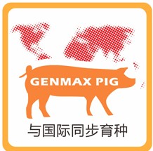與國(guó)際同步育種