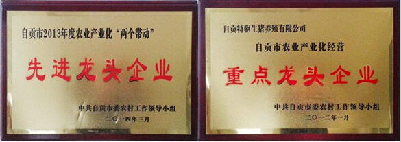 自貢市農(nóng)業(yè)產(chǎn)業(yè)化“兩個(gè)帶動”先進(jìn)龍頭企業(yè)