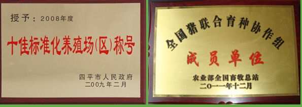 榮譽證書