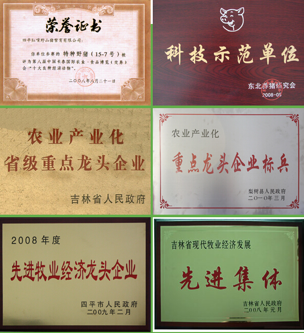 榮譽資質(zhì)