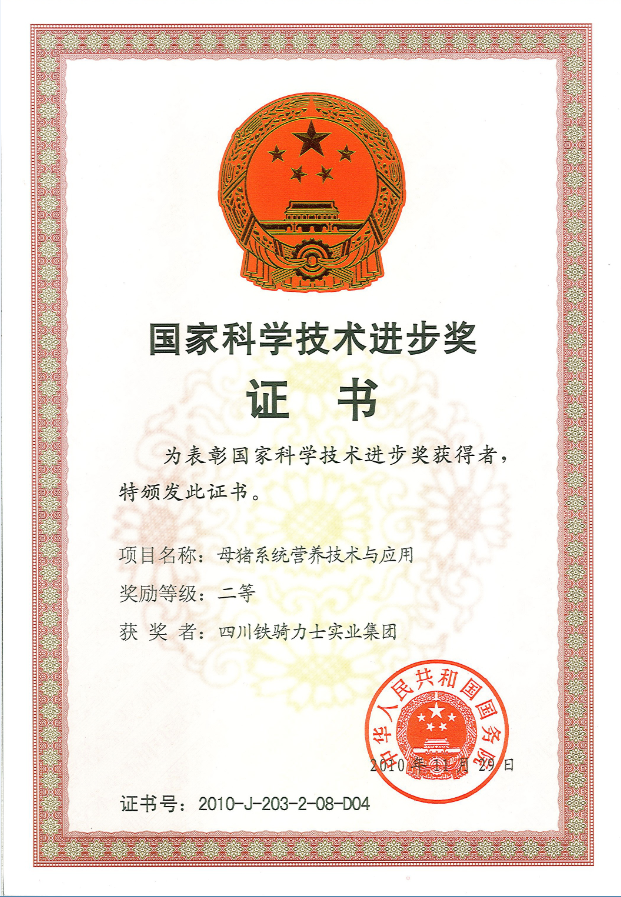 國家科技進(jìn)步二等獎(jiǎng)