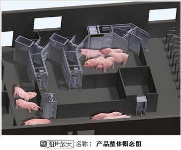 母豬智能化精確飼喂系統(tǒng)