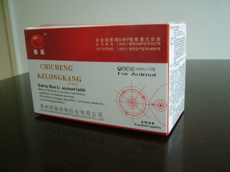 治豬籃耳的藥，治豬瘟的藥，豬籃耳用什么藥好