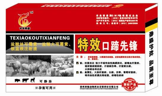 治豬五號(hào)病的藥，豬得五號(hào)病打啥針好，什么藥治豬五號(hào)病好